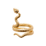 Load image into Gallery viewer, “SNAKE” EAR RING
