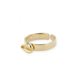 “GOLD COWRIE” RING